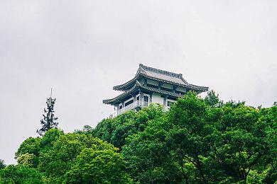 《猎天使魔女3》神谷英树Twitter被暂时封禁